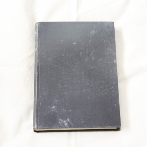 Runar Schildt Regnbågen